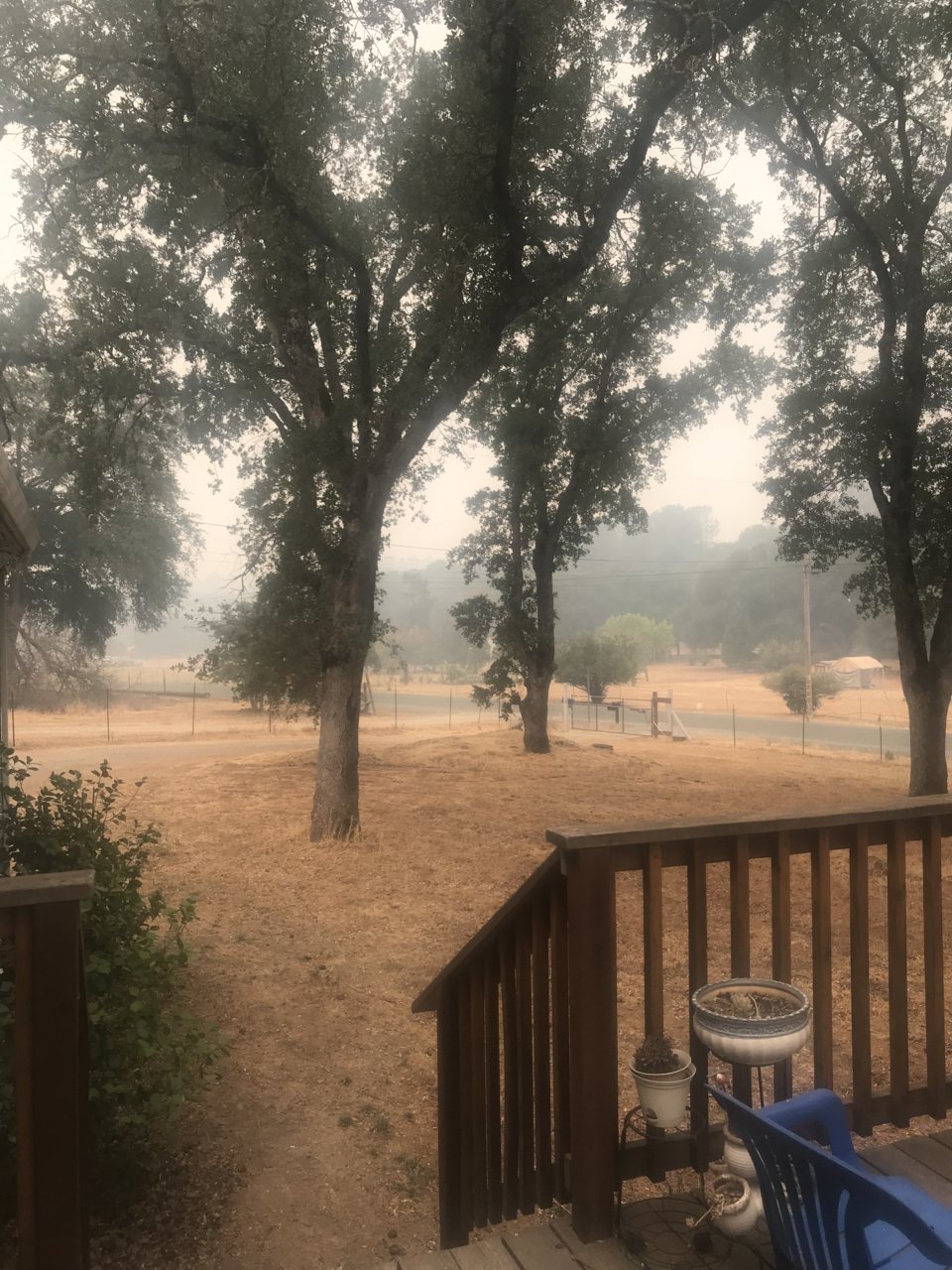 front yard 1.jpg