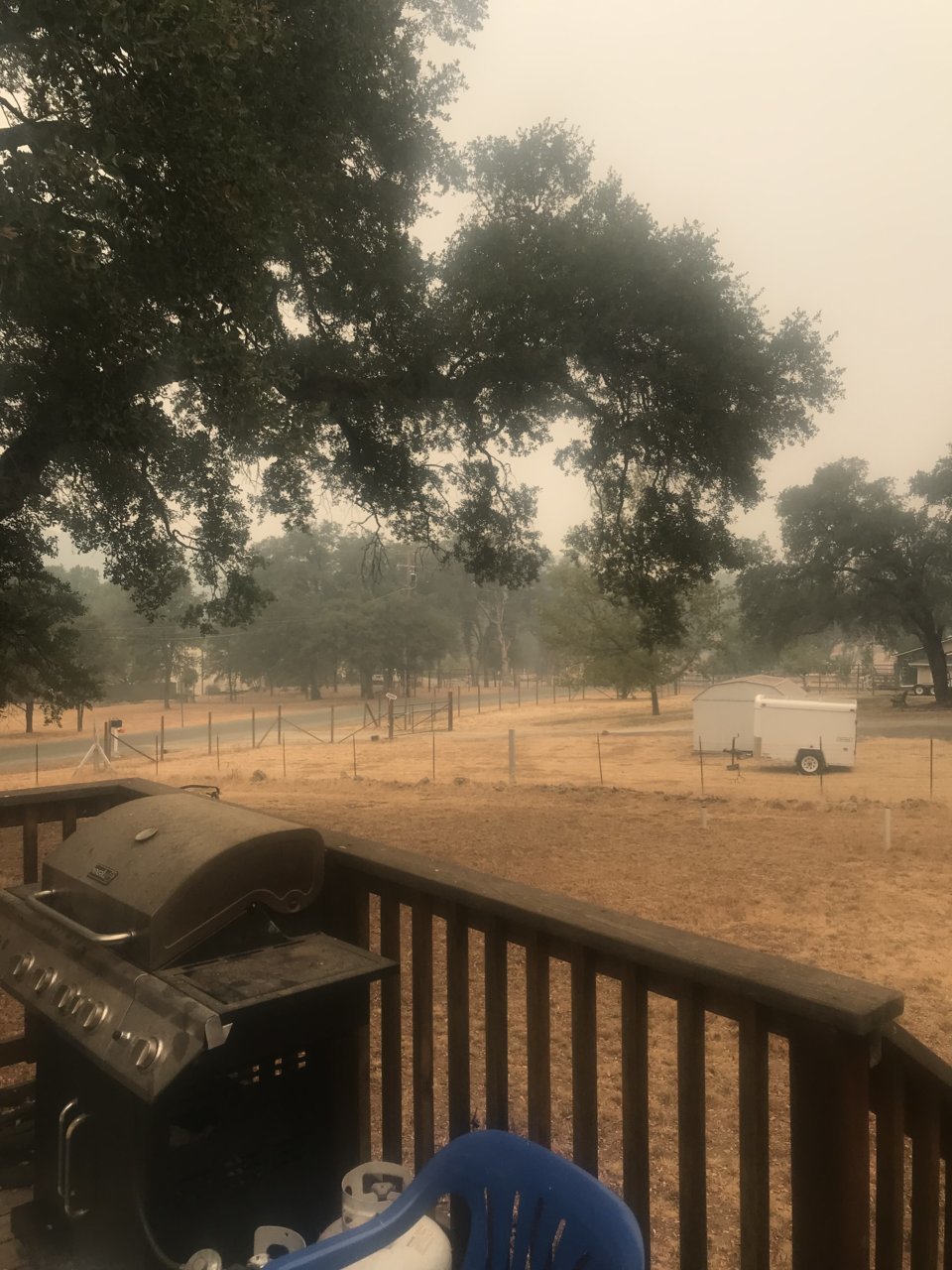 front yard 2.jpg