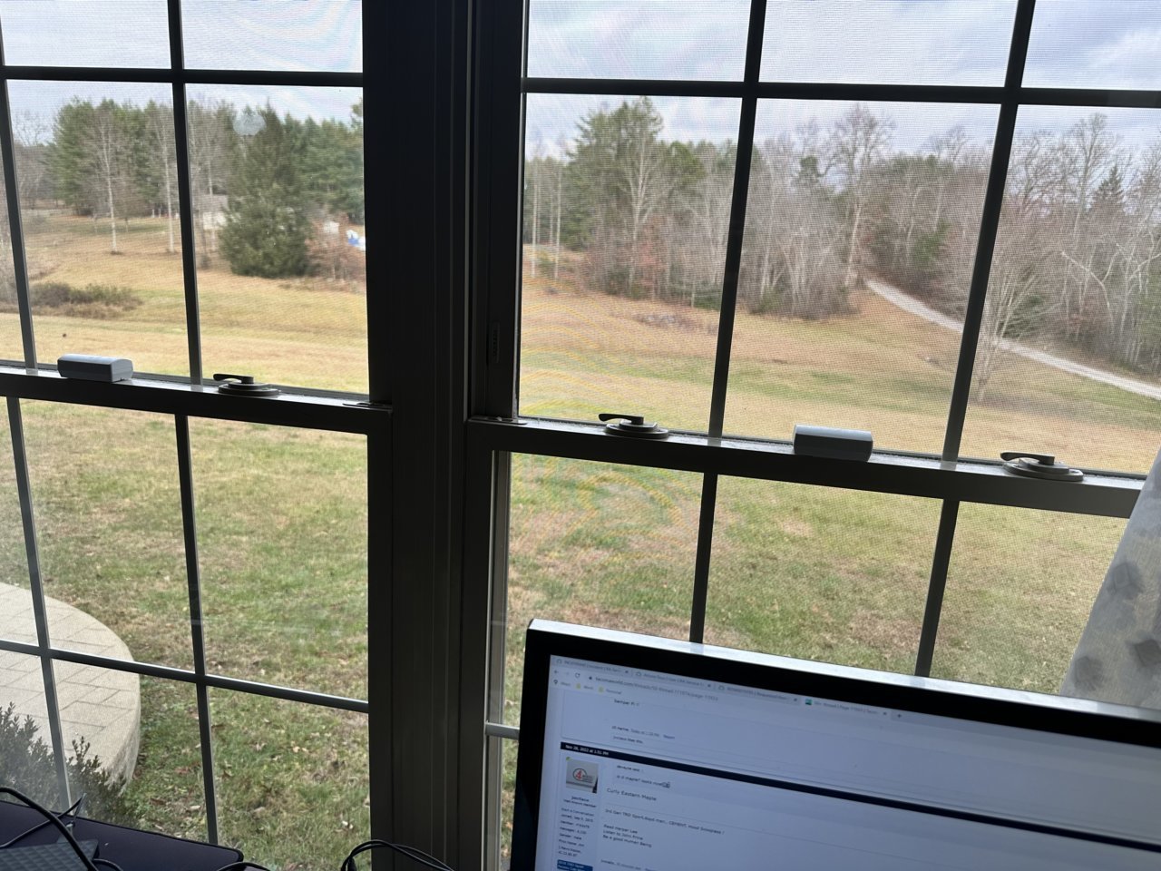 front yard.jpg
