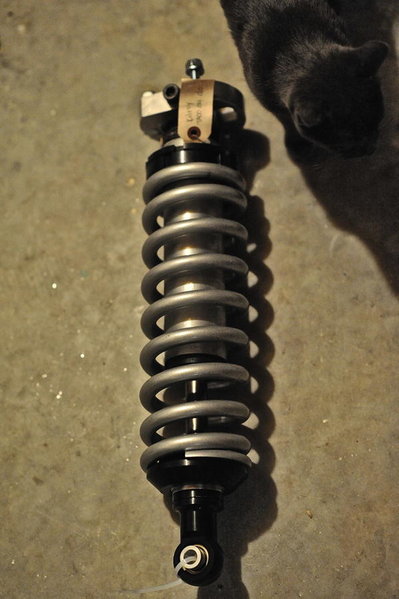front_shock.jpg