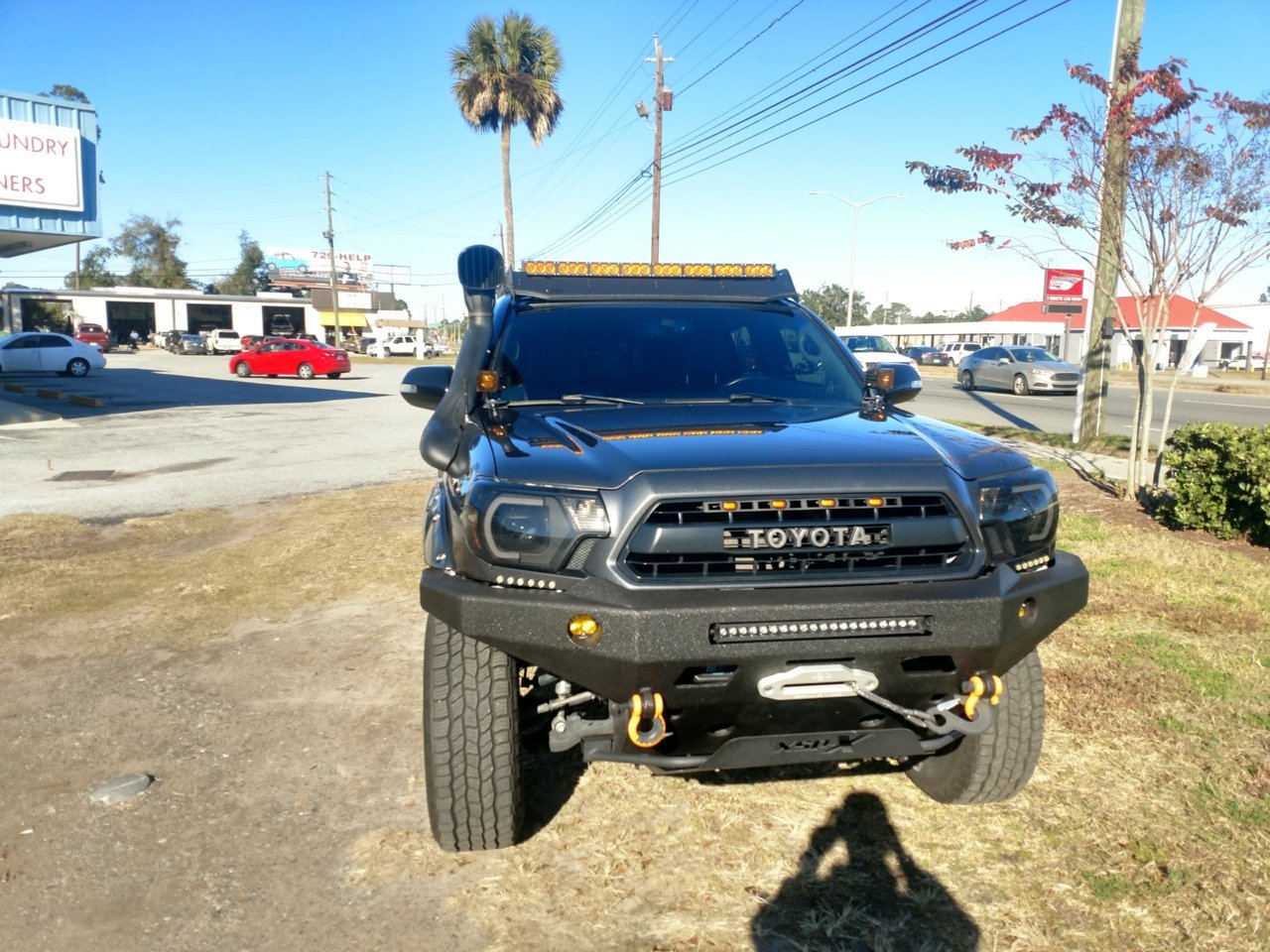 Front_Tint_Jan2020.jpg