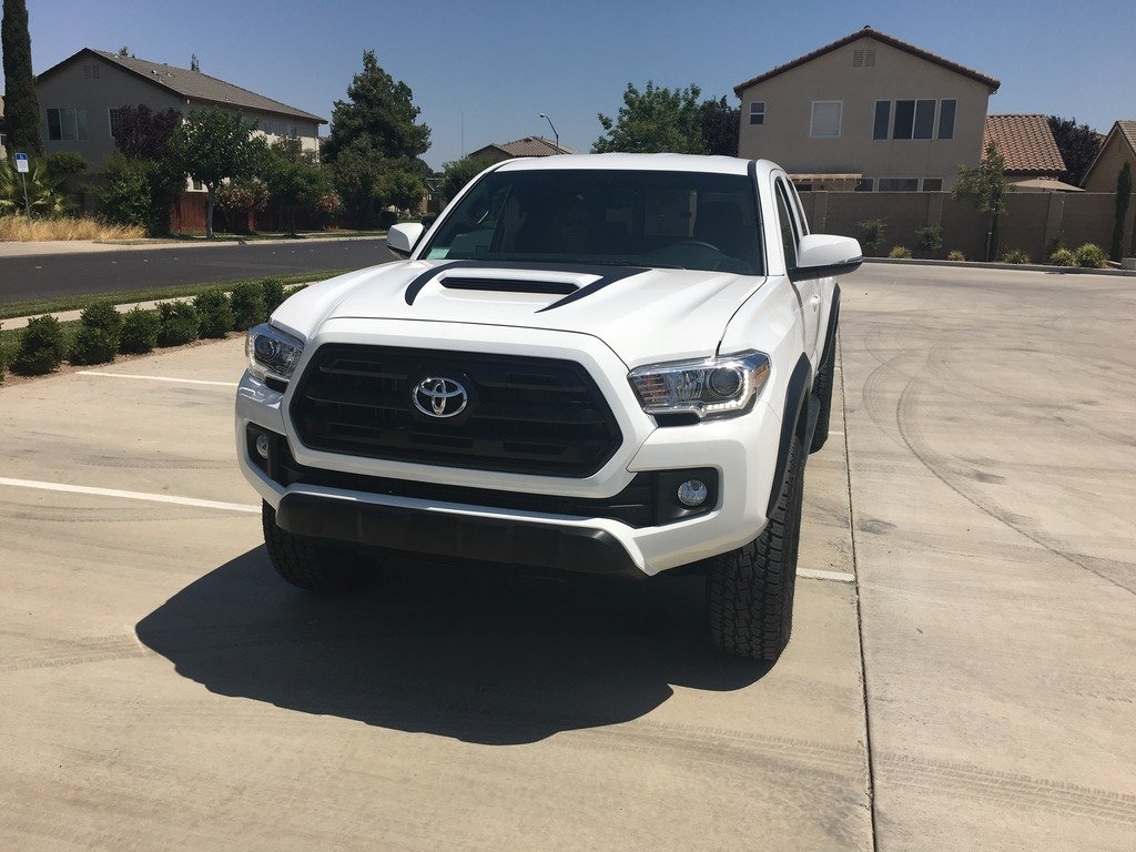 front_zpste41hg13_8ca00c23a715c5f9bee16d2810f9e9d7042151d3.jpg