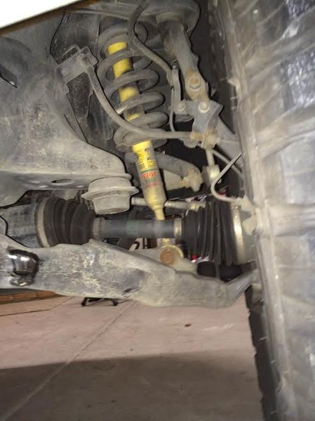 frontCOshocks.jpg