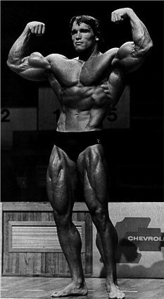 frontdoublebicepsposeofarnoldschwarzeneg_24bd03f3c5e70d84852f617c7b29888480518793.jpg