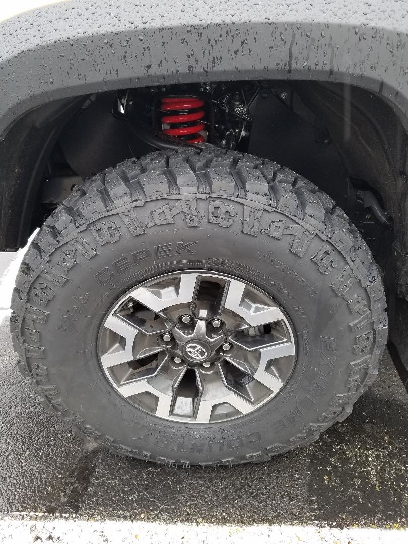 frt tire.jpg