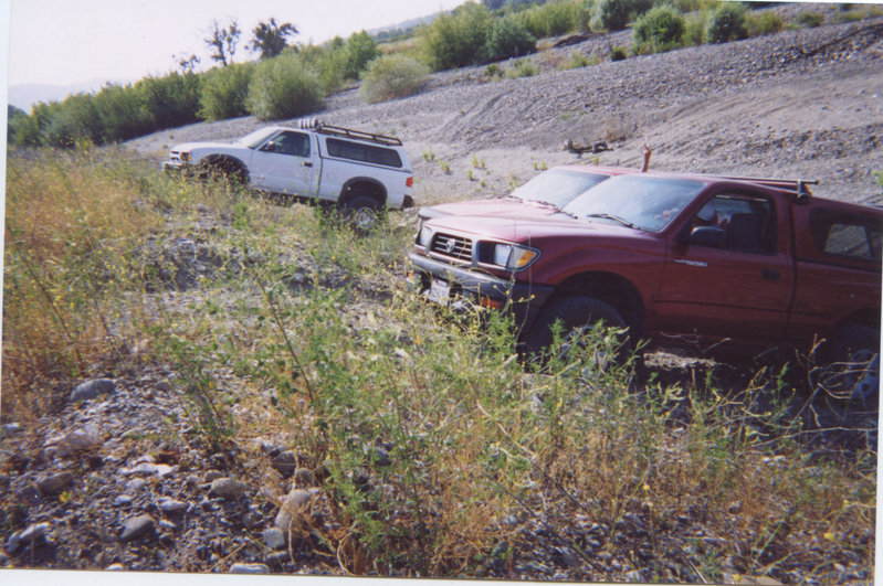 fs_27136.jpg