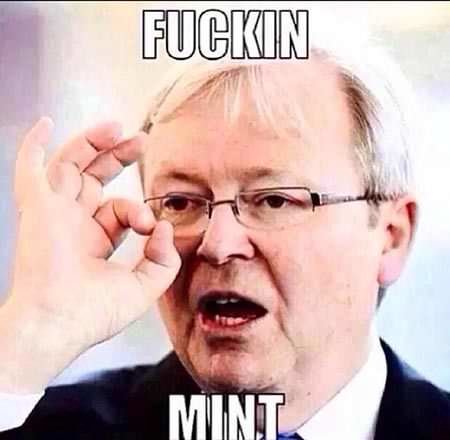 fucking_mint[1].jpg