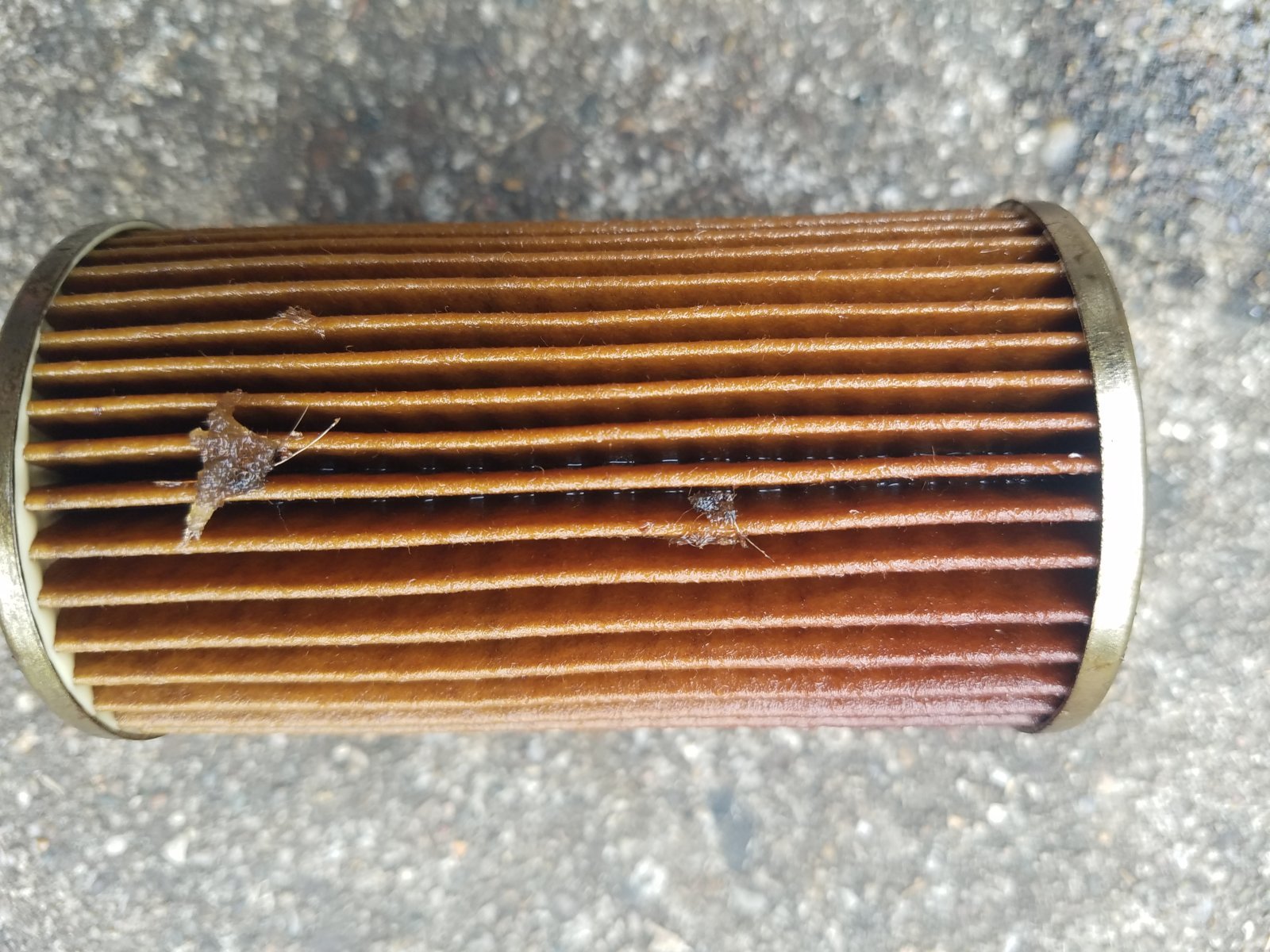Fuel Filter 2.jpg