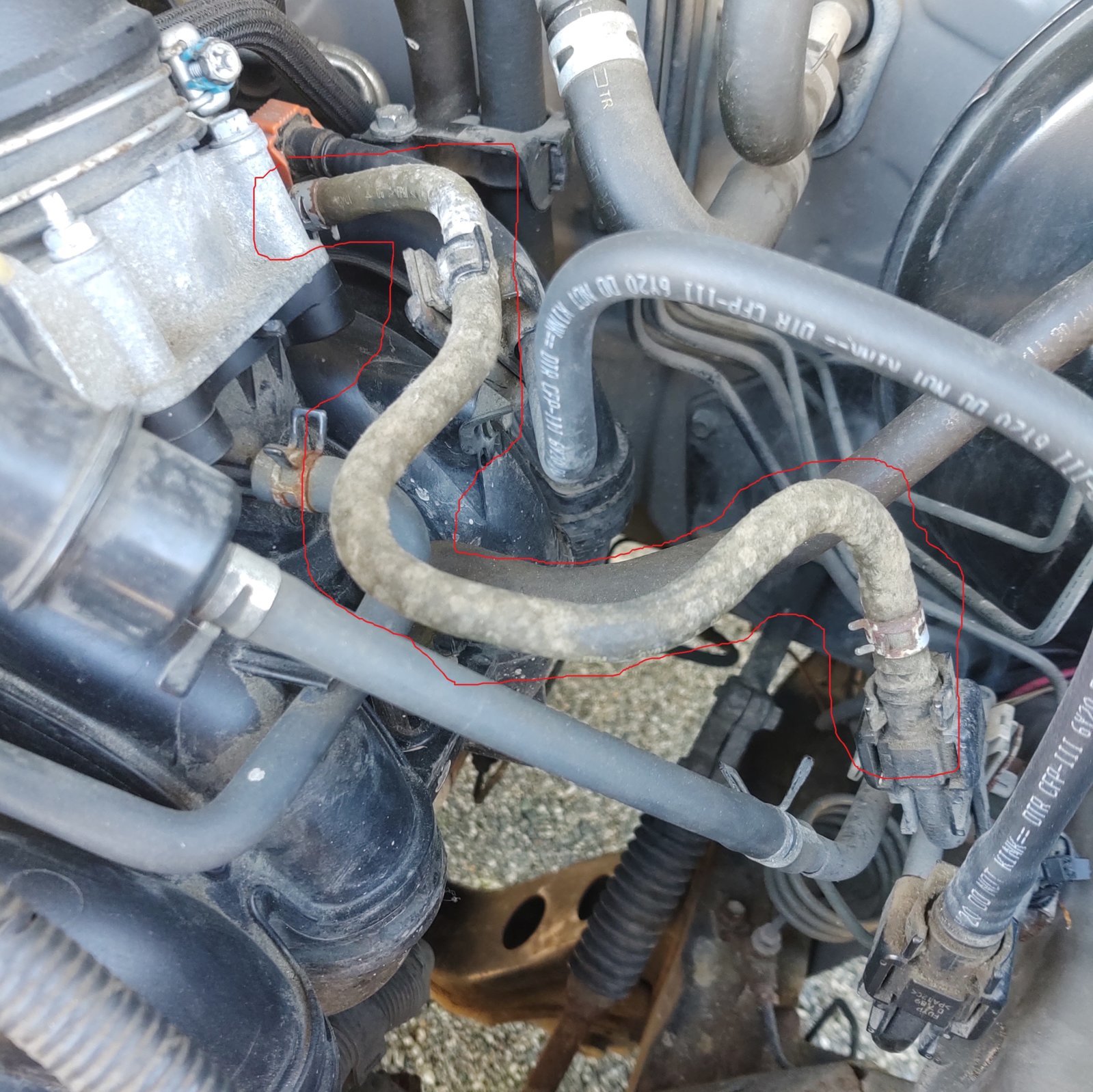 Fuel hose crud.jpg