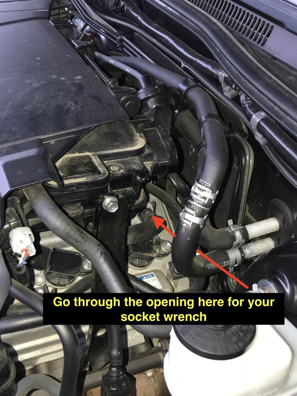 fullsizeoutput_2467.jpg