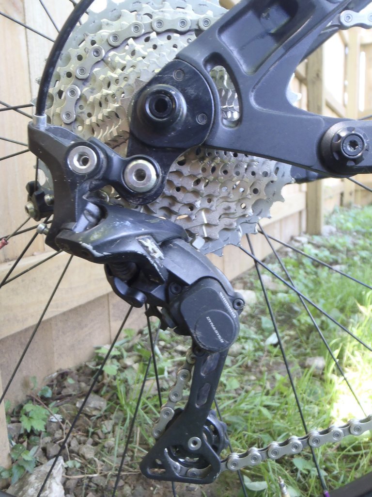 fullsizeoutput_ce5.jpg