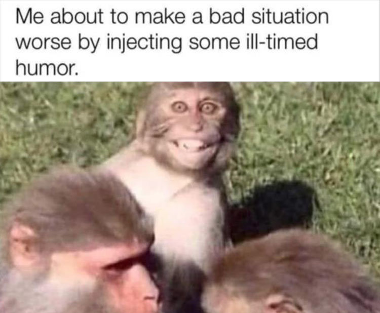 funny-1.jpg