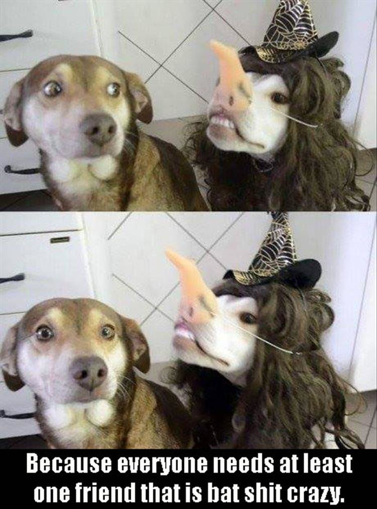 funny-417.jpg