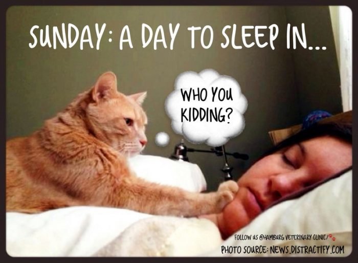 Funny-and-happy-Sunday-324.jpg