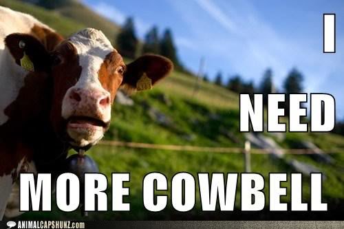 funny-animal-captions-i-need-more-cowbel_4c2895c313c8cd83a17c56c95cd59080c7316d66.jpg