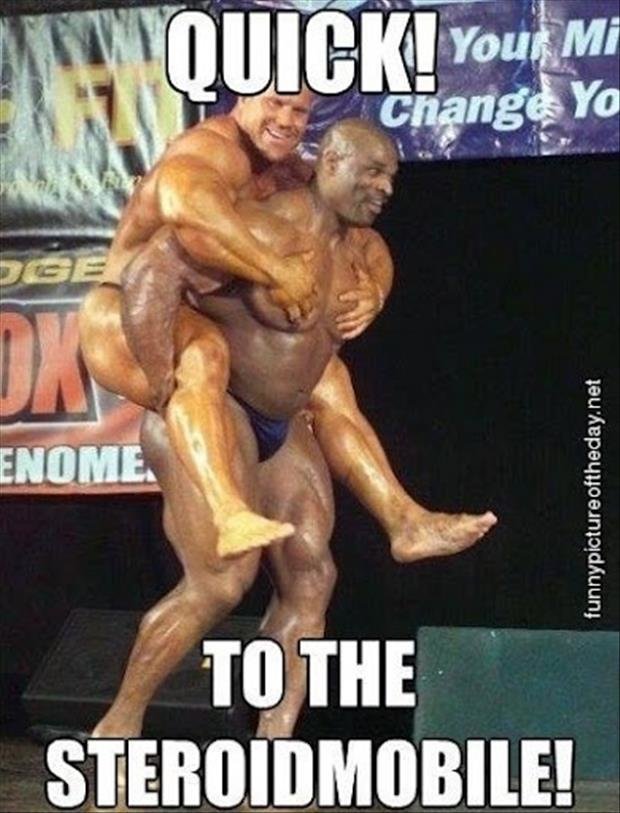 funny-bodybuilders.jpg