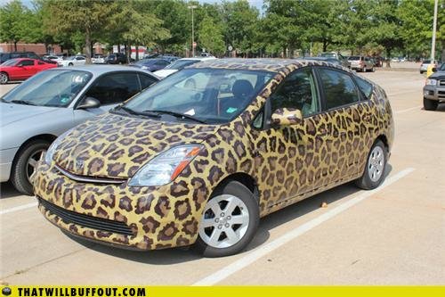 funny-car-photos-a-stripper-car-has-been-spotted.jpg