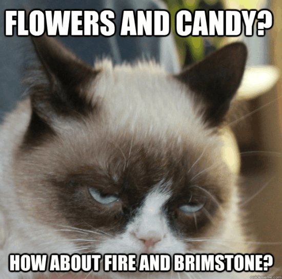 Funny-Cats-Top-49-Most-Funniest-Grumpy-Cat-Quotes-23.jpg