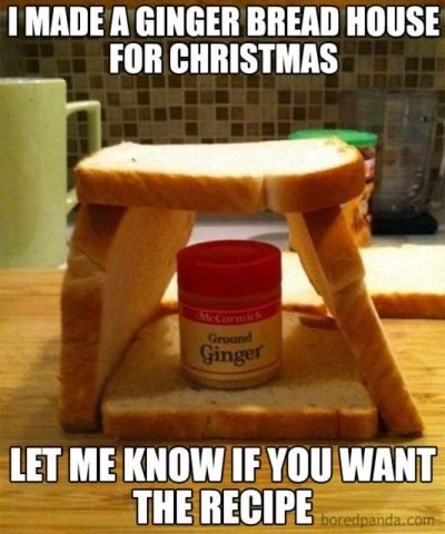 Funny-Christmas-Memes-400x480 sw.jpg
