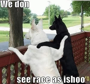 funny-dog-interracial-graphic_173a638ae67de1db45ce9c056a3a01da81617514.jpg