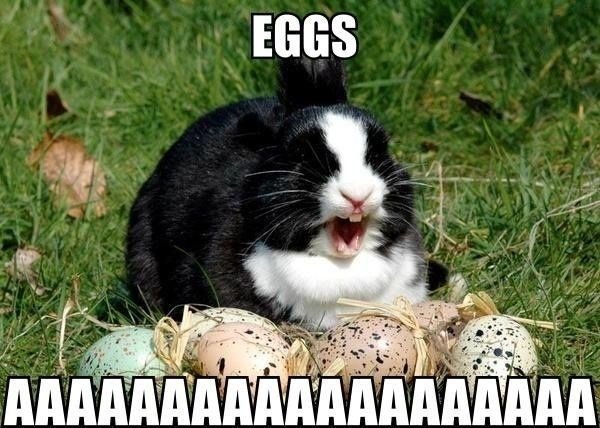 Funny-Easter-Bunny-Quotes-and-Pictures-9.jpg