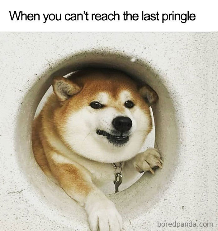 funny-food-memes-117-5bc5f87e224e2__700.jpg