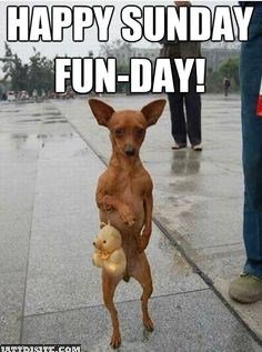 Funny-Happy-Sunday-Fun-Day.jpg