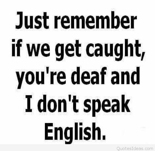 funny-lol-text-crazy-silly-hilarious-Quotes.jpg