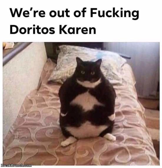 funny-meme-5e5c1b31c2665d31c.jpg