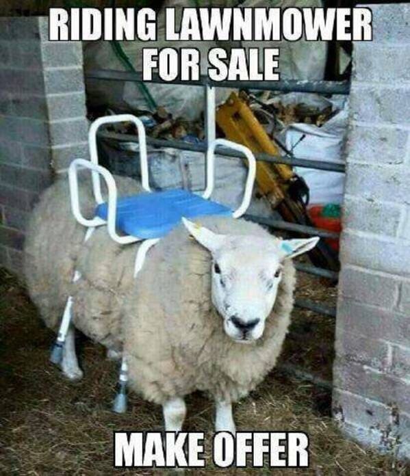 funny-pictures-3-15-24-4.jpg