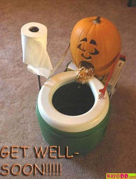 funny-pictures-been-sick-lately-BXf_403029753ccd3270b39058784d334ca22d444e70.jpg