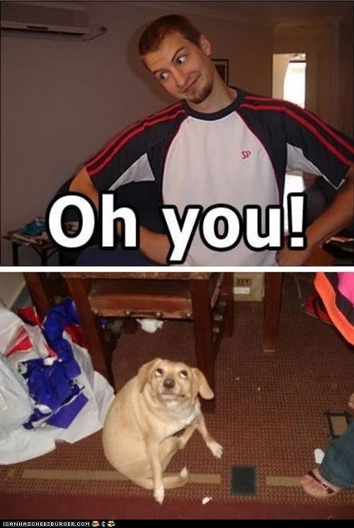 funny-pictures-cant-stay-mad-at-tha_91269911ef60c7a2eafddca0217751323cf0e01e.jpg
