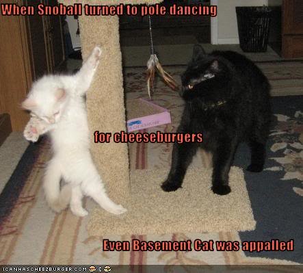 funny-pictures-cat-dances-for-cheeseburg_a64aa1e8e7eb2c298f01ef73e266d7157ecf3440.jpg