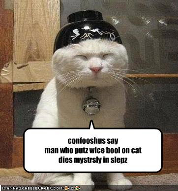 funny-pictures-cat-has-bowl-on-head.jpg