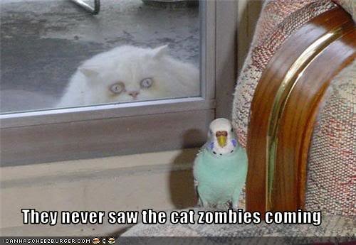 funny-pictures-cat-is-a-zombie_dd958c6be1673e1257ddade9e3120297fa6d1a45.jpg