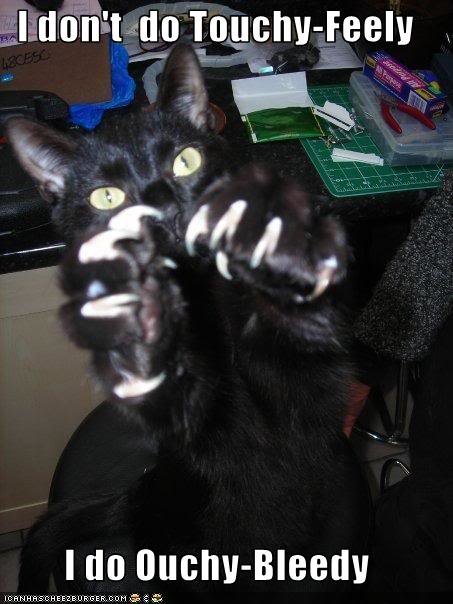 funny-pictures-cat-threatens-you_e95718fab08989b6fff23a44f1f8627dc6bc6ce8.jpg