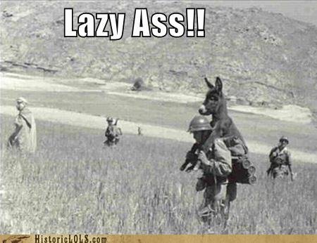 funny-pictures-history-lazy-ass.jpg