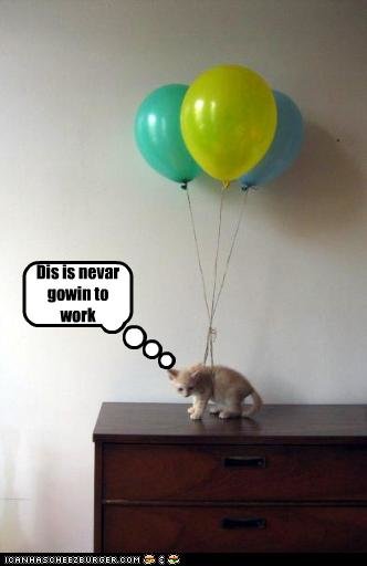 funny-pictures-kitten-has-balloons.jpg