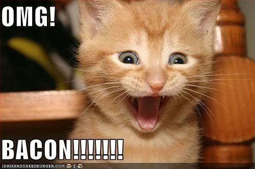 funny-pictures-kitten-is-excited-ab_5fd31019f2ce78b648fc022d070ee3137319c5bd.jpg