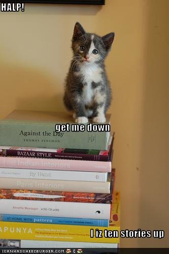 funny-pictures-kitten-is-on-a-stack-of-books.jpg
