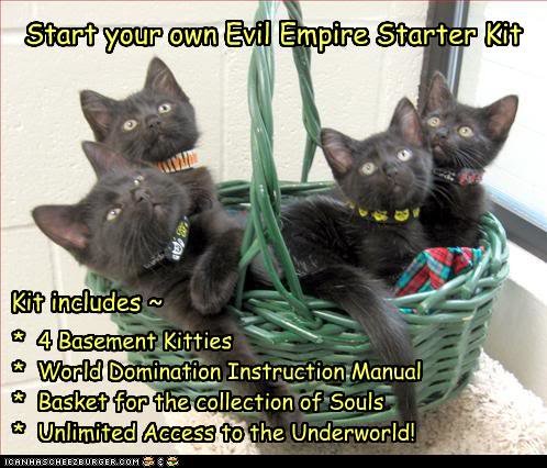 funny-pictures-kittens-are-evil_6d14ebb05b64ab1c11a1dada4b1347bc38403000.jpg
