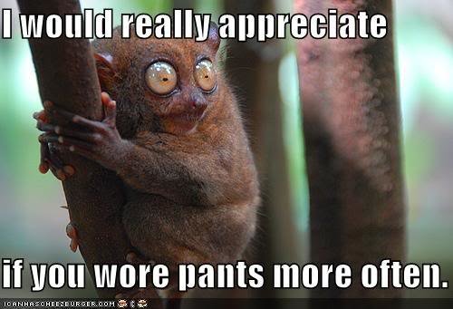 funny-pictures-pants-more-often_af32befbbcc05ffe2a2d24f7e2edf7a9d84318e3.jpg