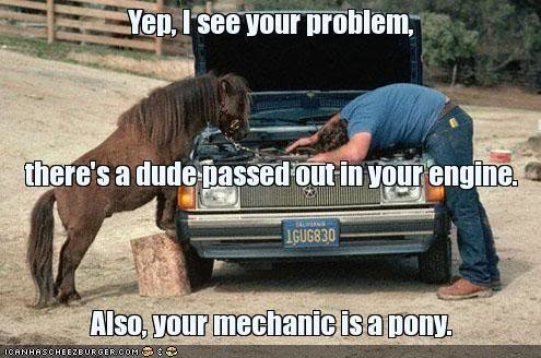 funny-pictures-pony-mechanic_c4b30139455fe55be93280348d9485eb204d51e1.jpg