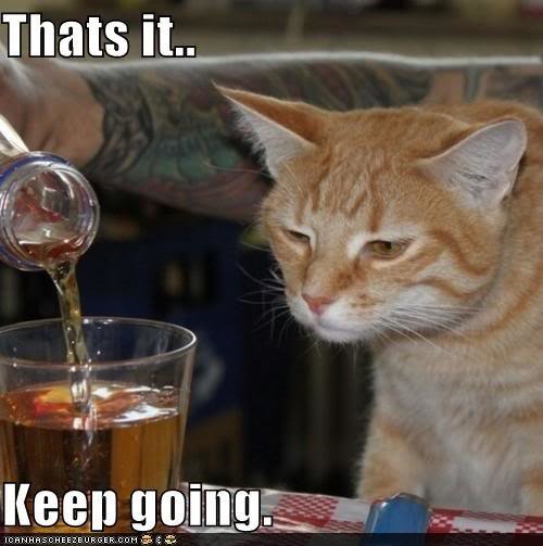 funny-pictures-thats-it-keep-going_8d537e046f468049173cebcda283d26ff649404c.jpg