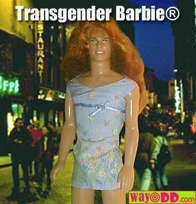 funny-pictures-transgender-barbie-1_b6886484f43102f50727d33c96c354ab7333d400.jpg