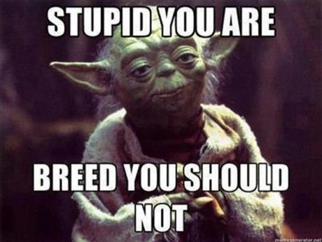 Funny-Star-War-Meme-Stupid-You-Are-Breed-You-Should-Not-Image.jpg