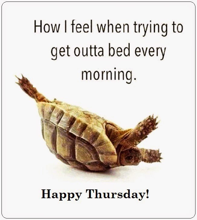 funny- thursday-morning-photo.jpg