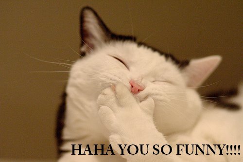 funny_dcae68b560d2f6fd25df02a02b27787008817e8e.jpg