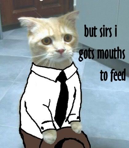 Funny_Pictures_1859_58c52b213f5e33334d85dd0283516f63a9d15af8.jpg