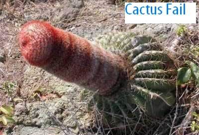 funnyfail1_b6dc5adf9ba7067e6d5becf47850ecad00dde913.jpg
